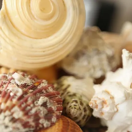 酒店 Jaho 卡瓦亚