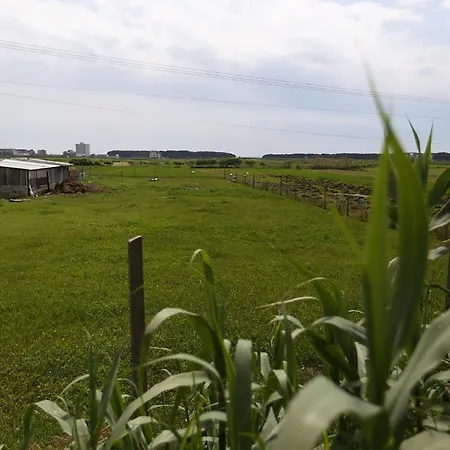 Ξενοδοχείο Jaho Kavaje